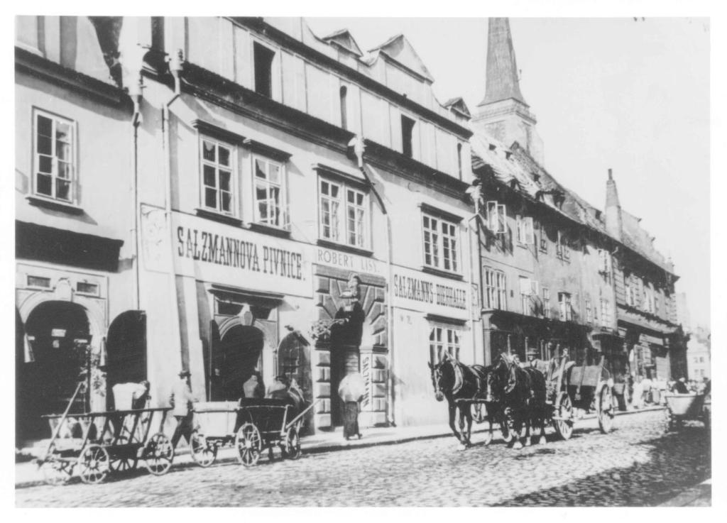 Hotel U Salzmannu Plzeň Dış mekan fotoğraf